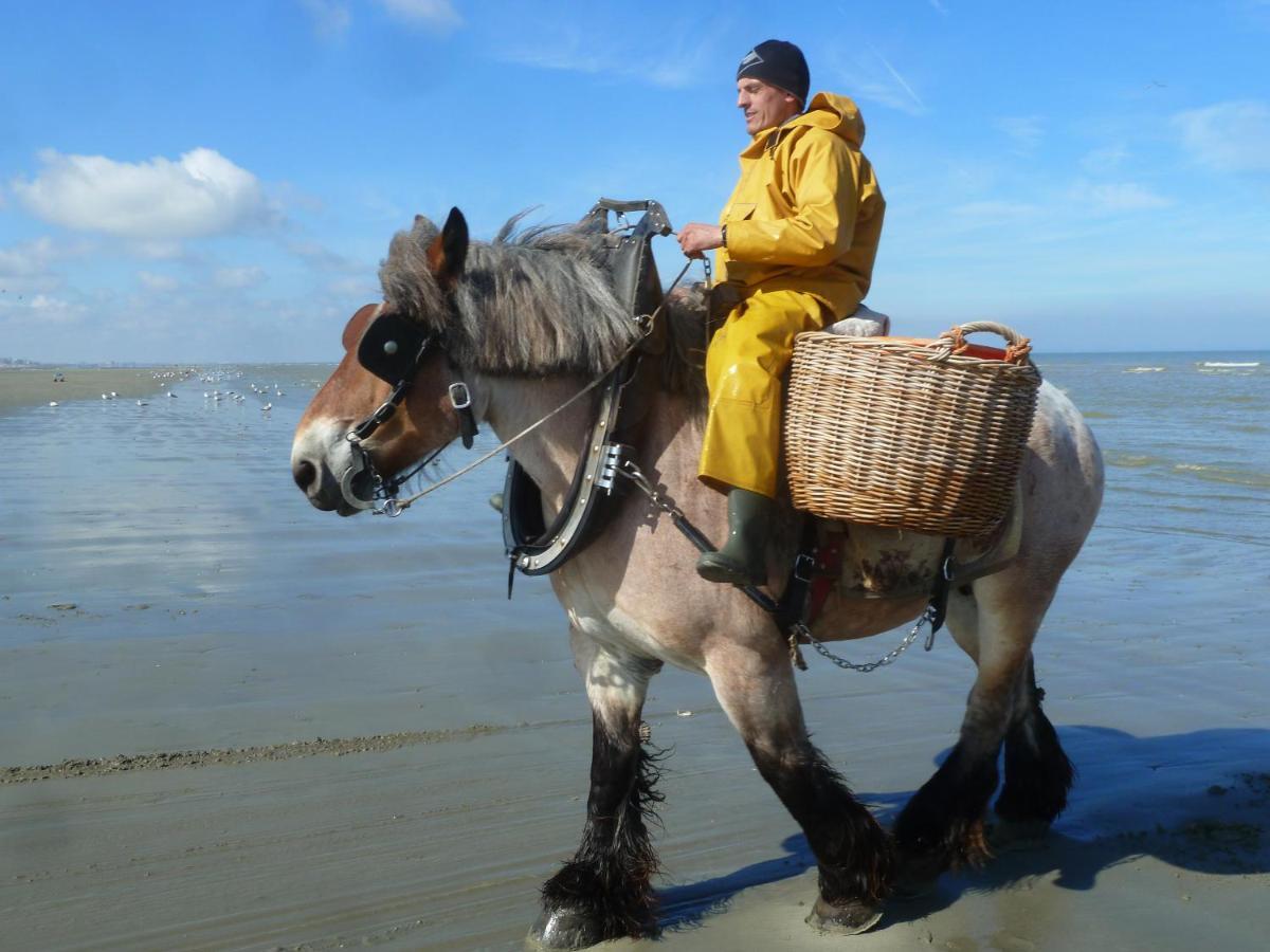 Holiday Home Garnaalhuisje Oostduinkerke Eksteriør bilde